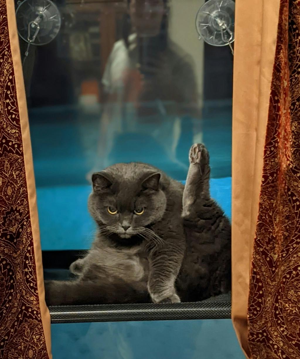 Babette Image