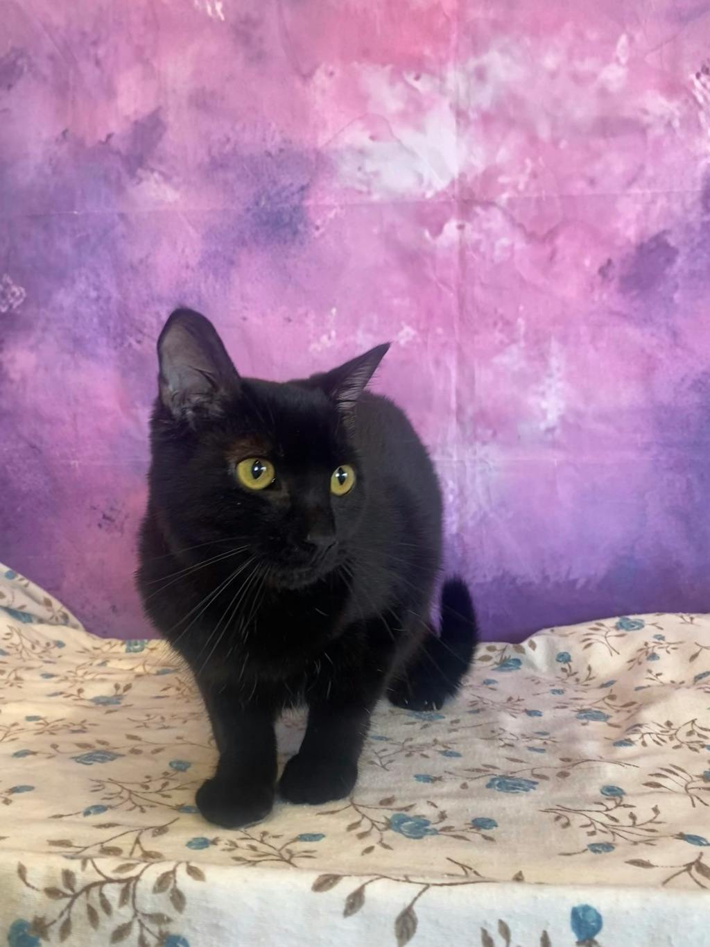 Bernadette Image