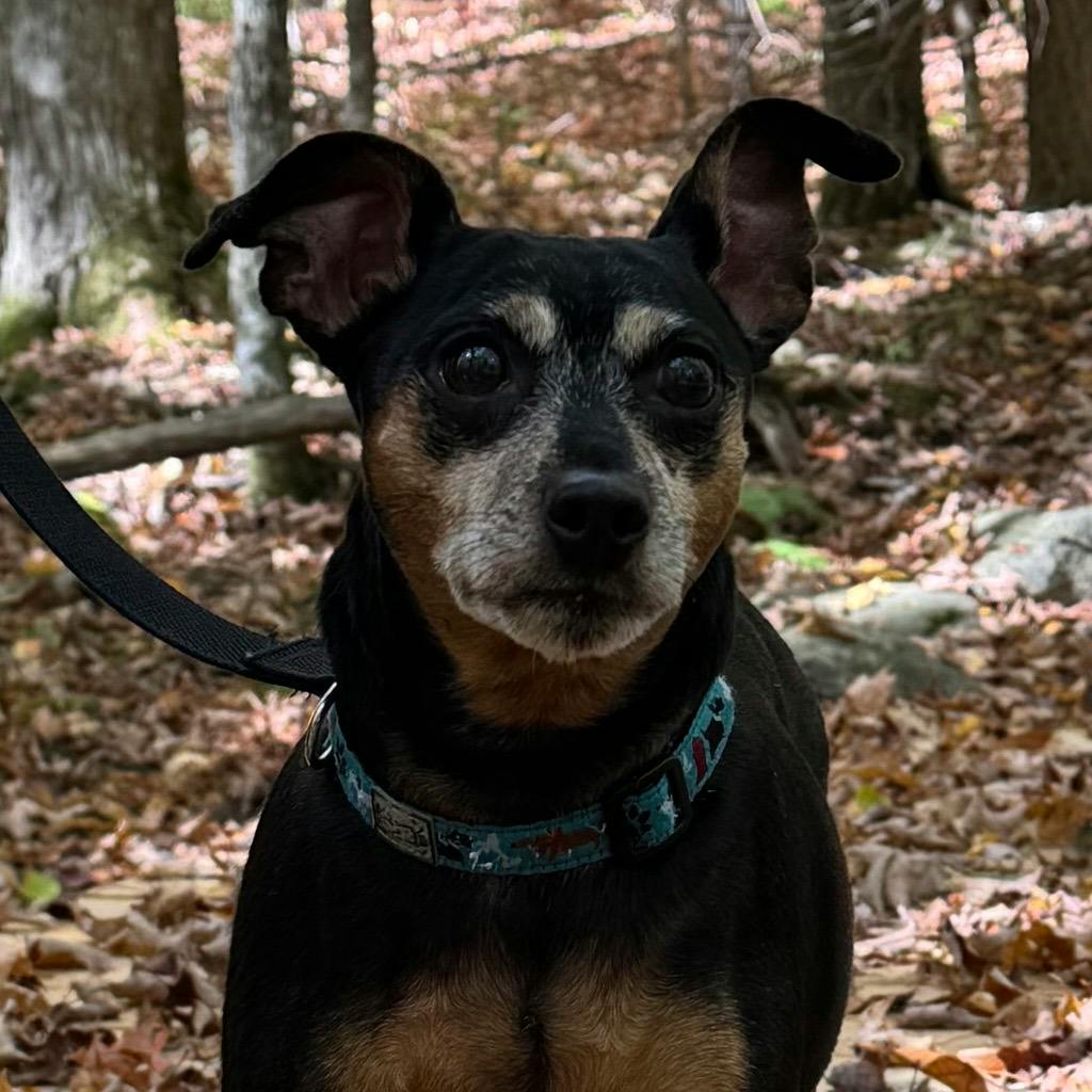 Tito Image