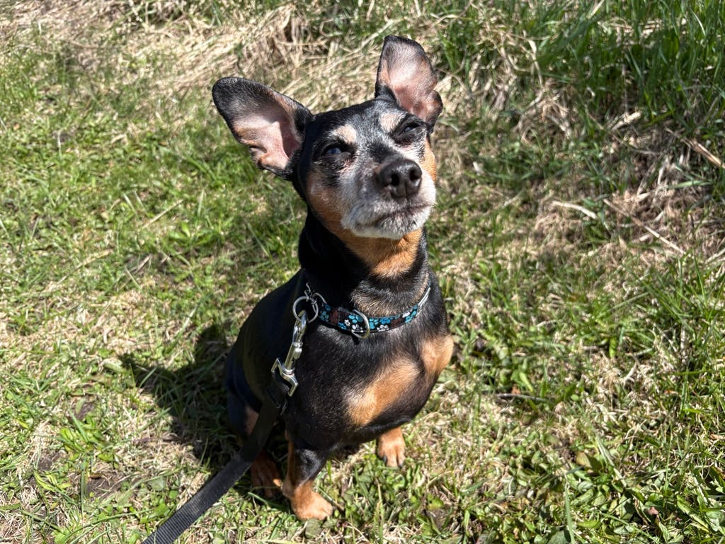Tito Image