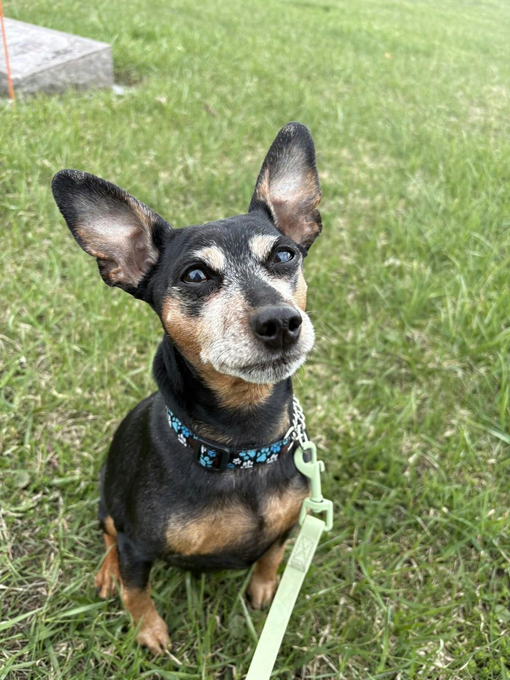 Tito Image