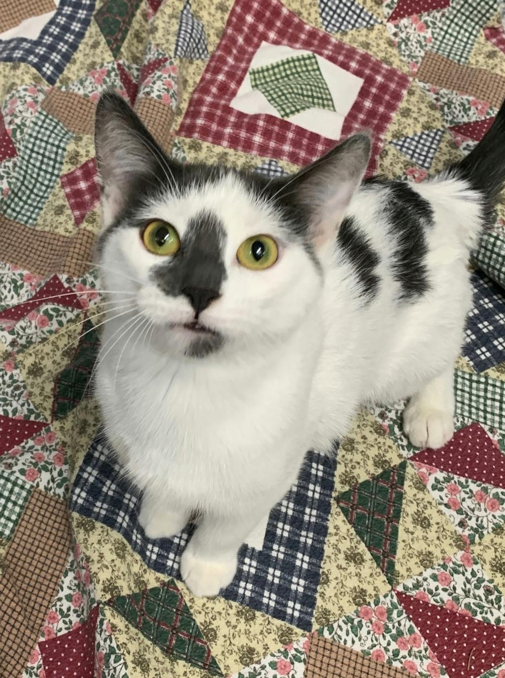 Beverly Image