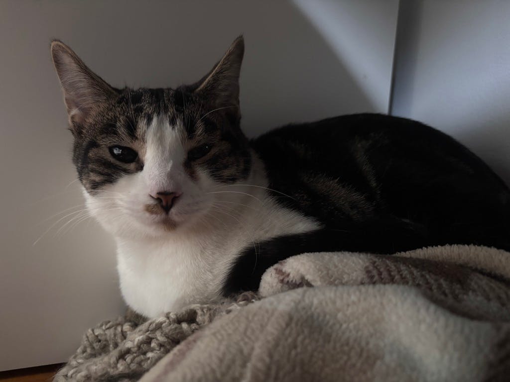 Marvette (in Foster) Image