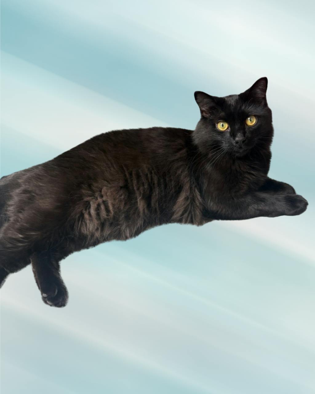 Tinker Image