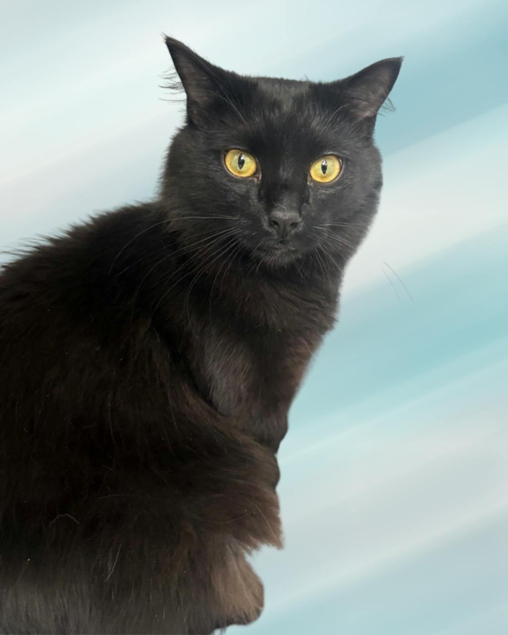 Tinker Image