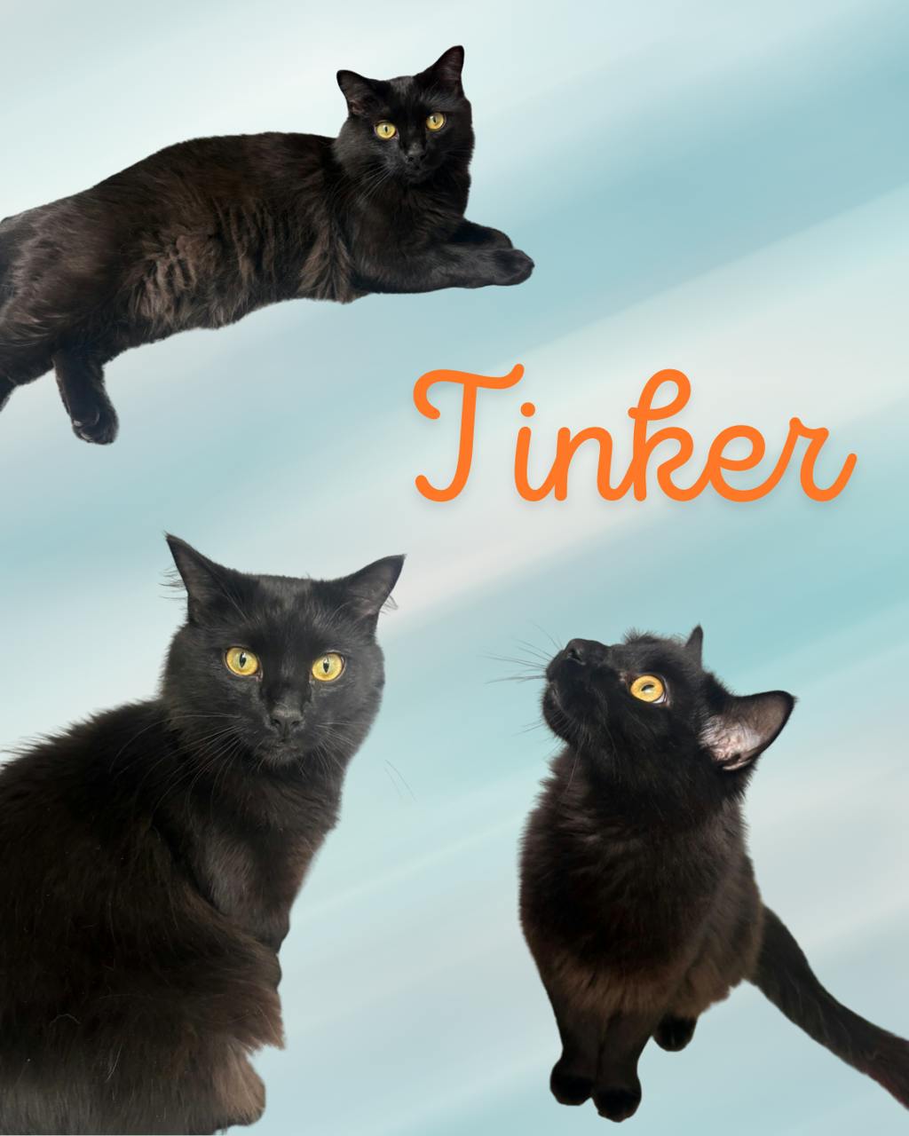 Tinker Image
