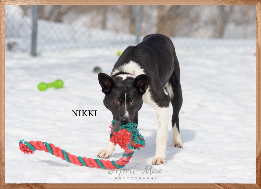 Nikki Image