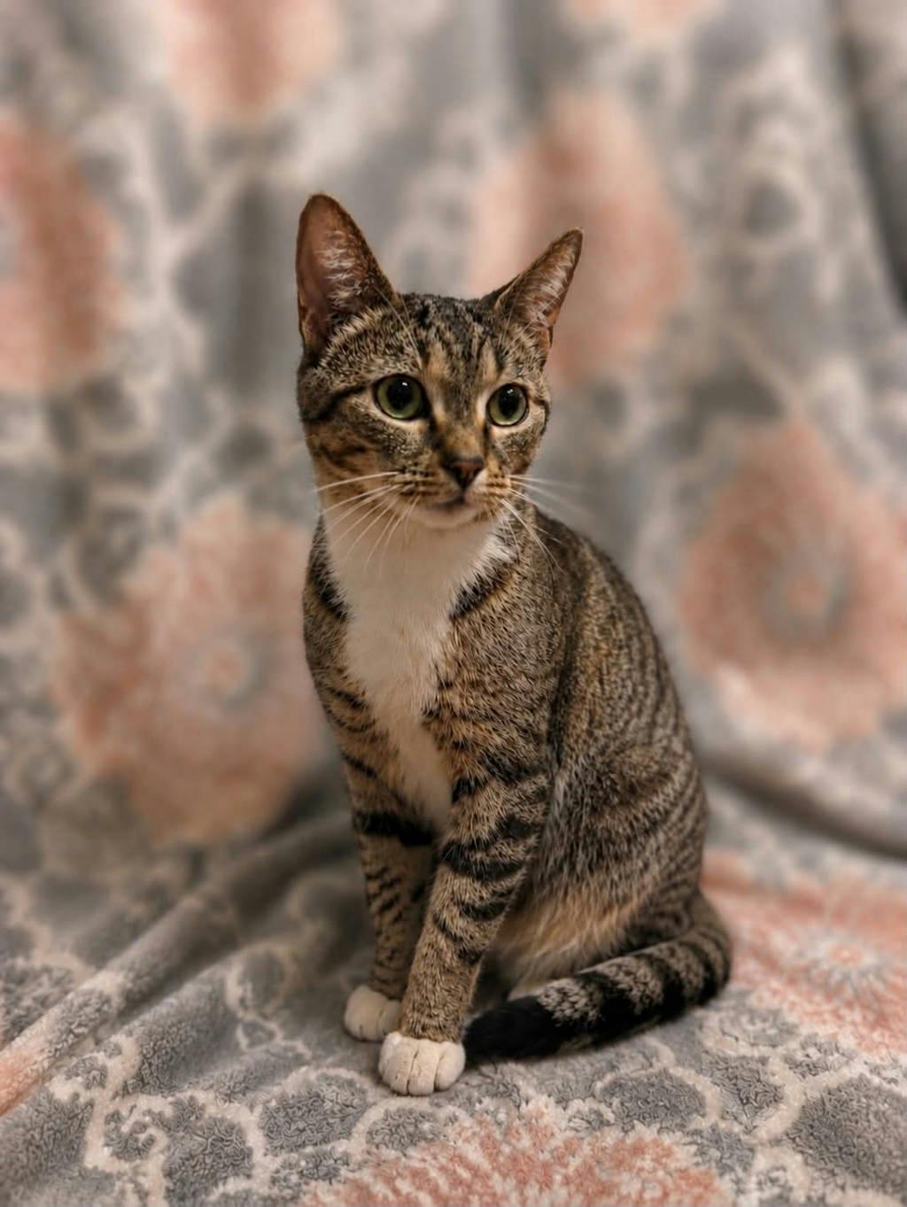 Sophie Image