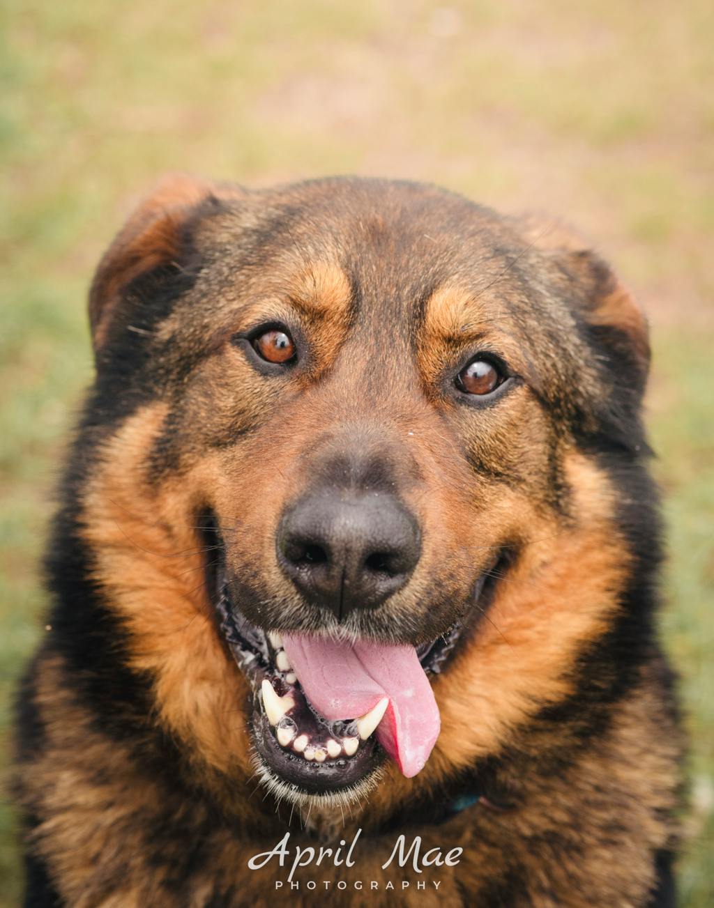 Lulu