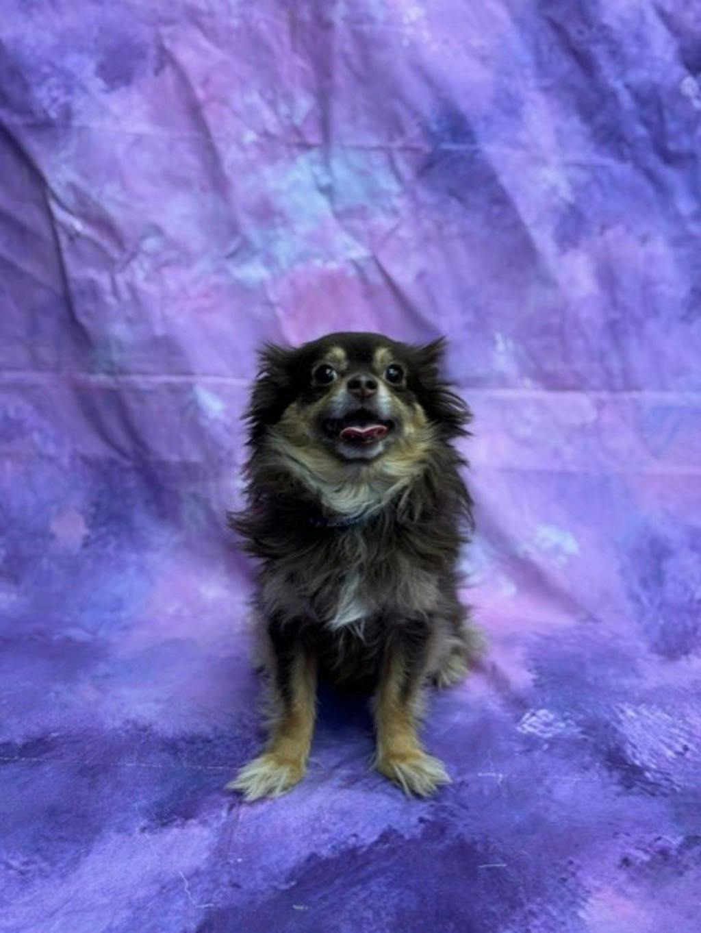 Zhoe Image