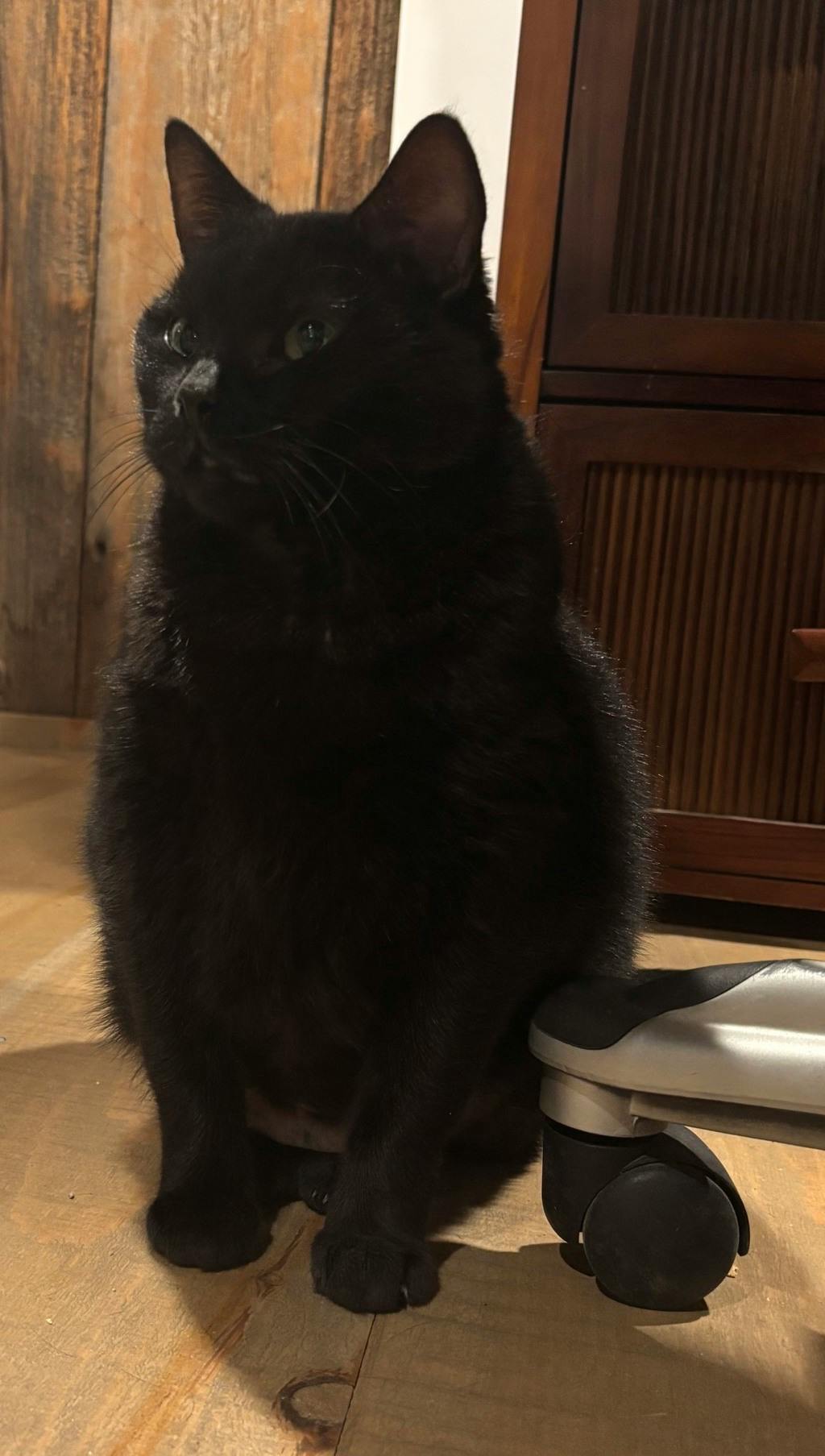 Ebby Image
