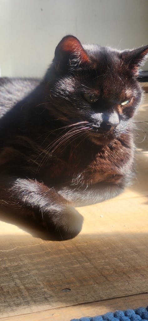 Ebby Image