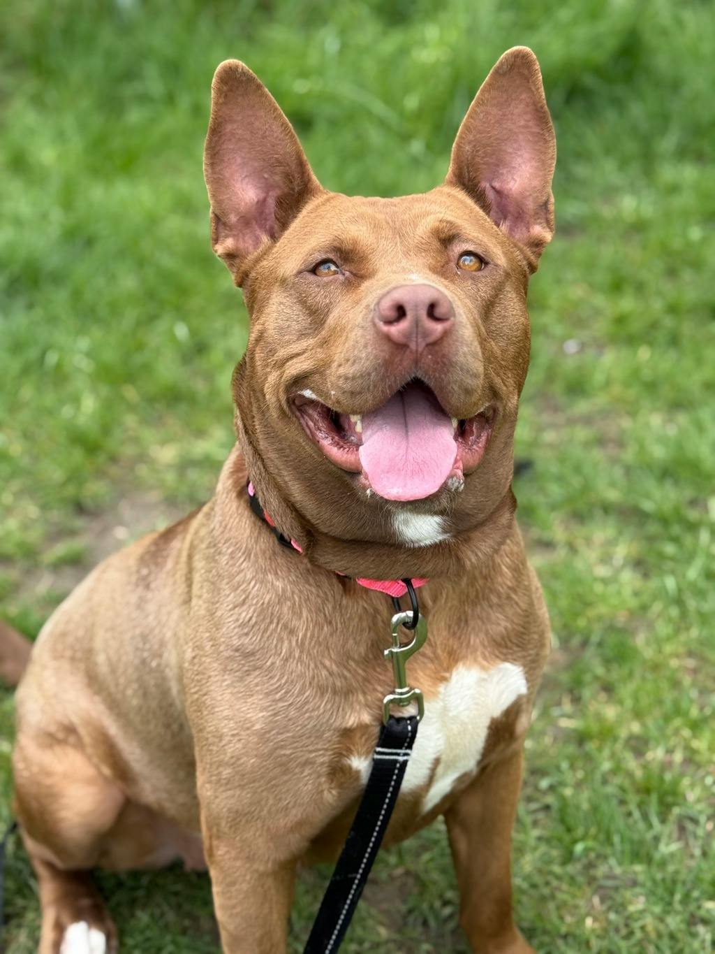 Zoe