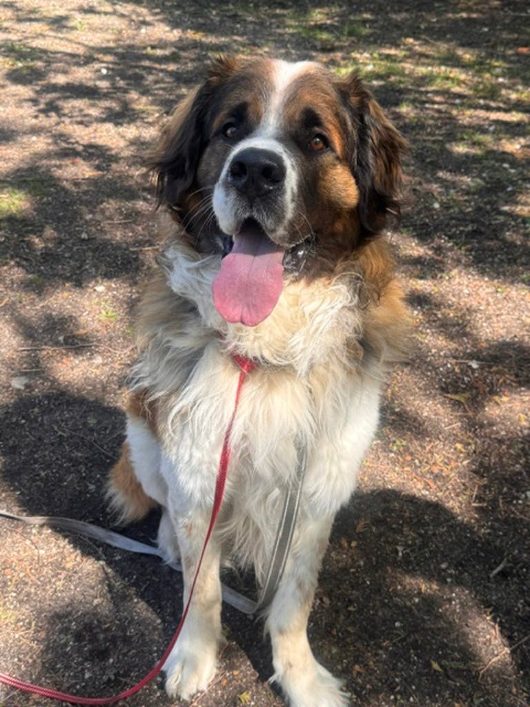 Zeus