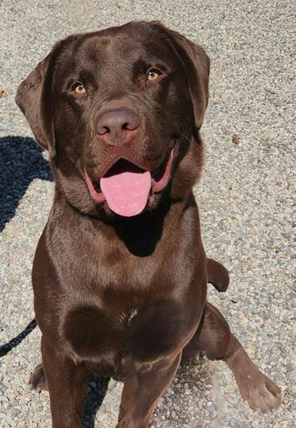 Beau