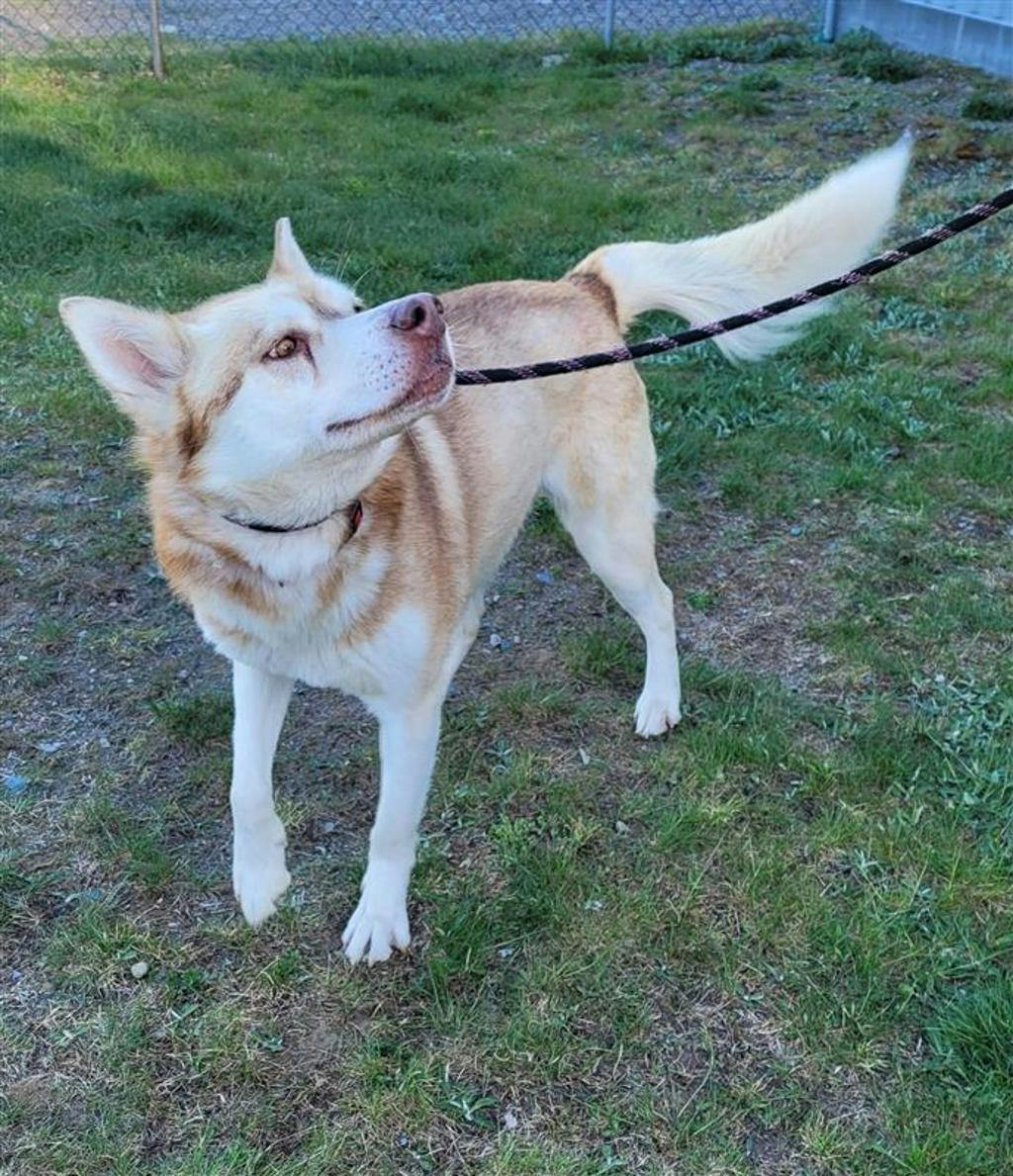 Frodo