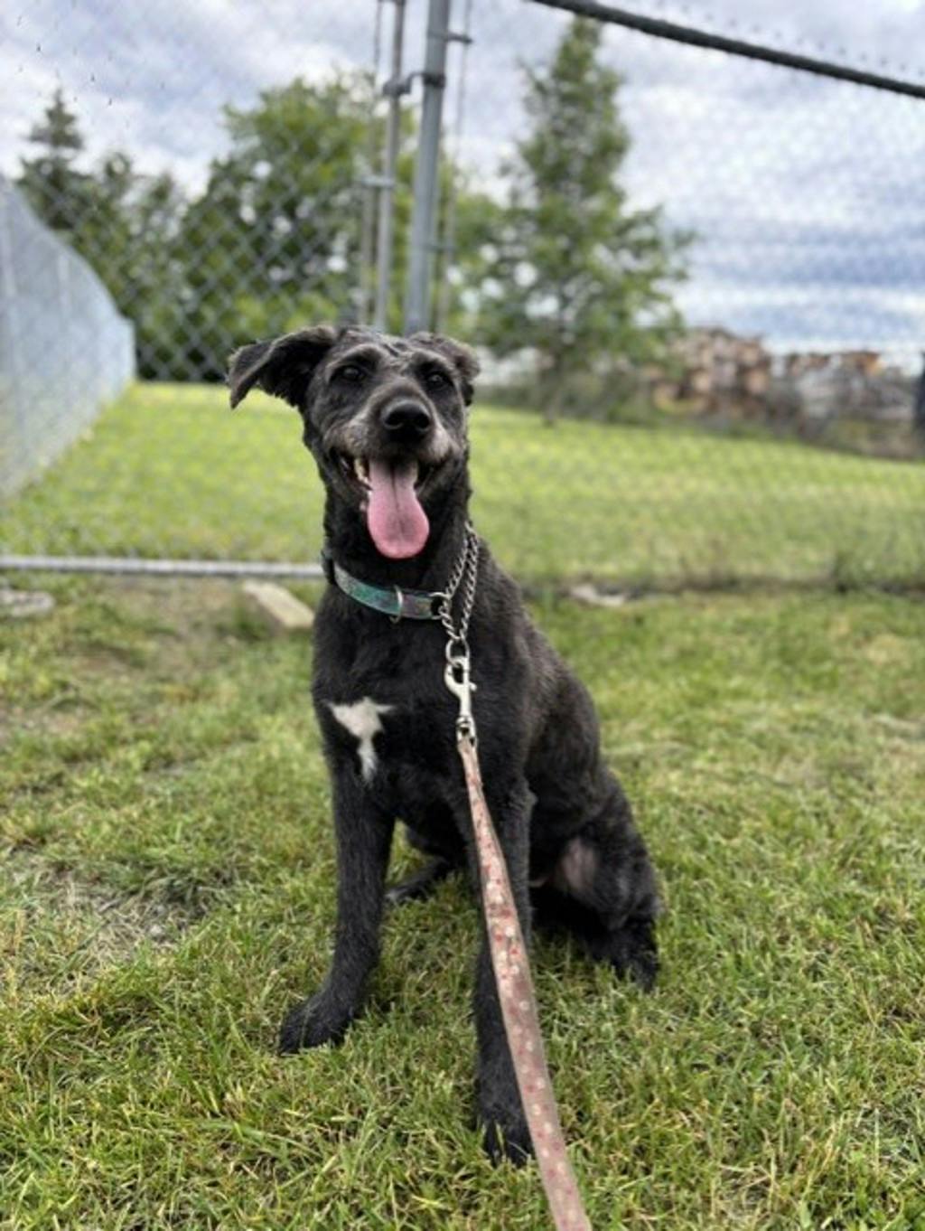 Maggie Image