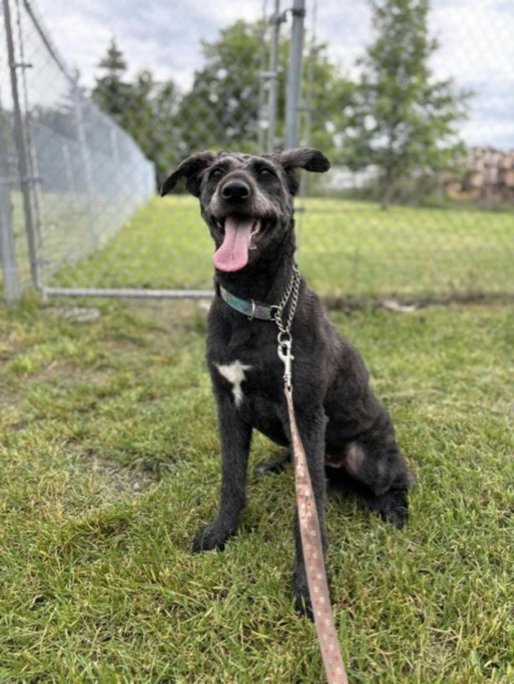 Maggie Image