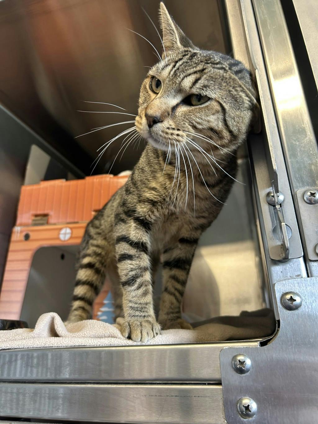 Sampson Image