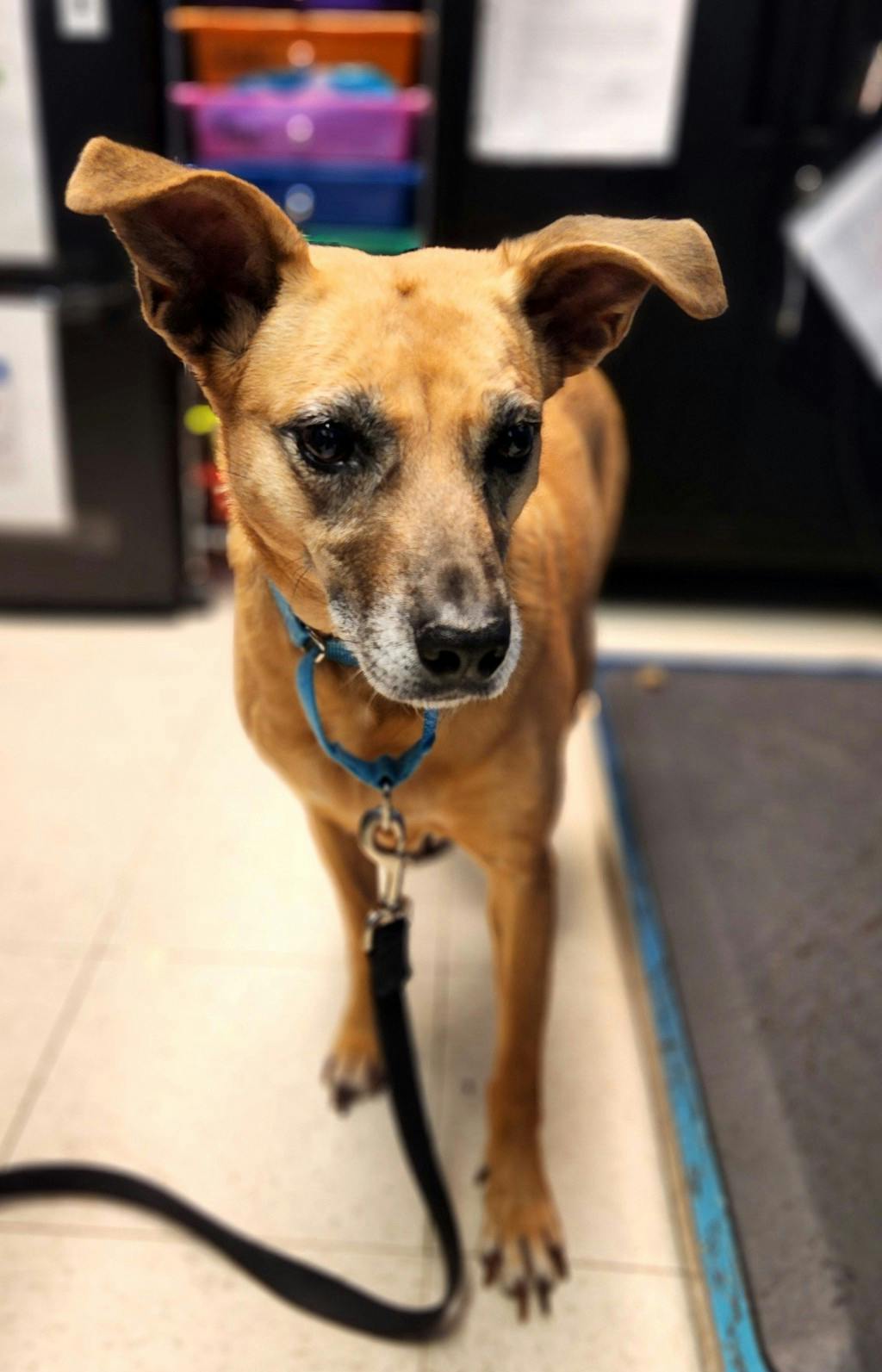 Coco