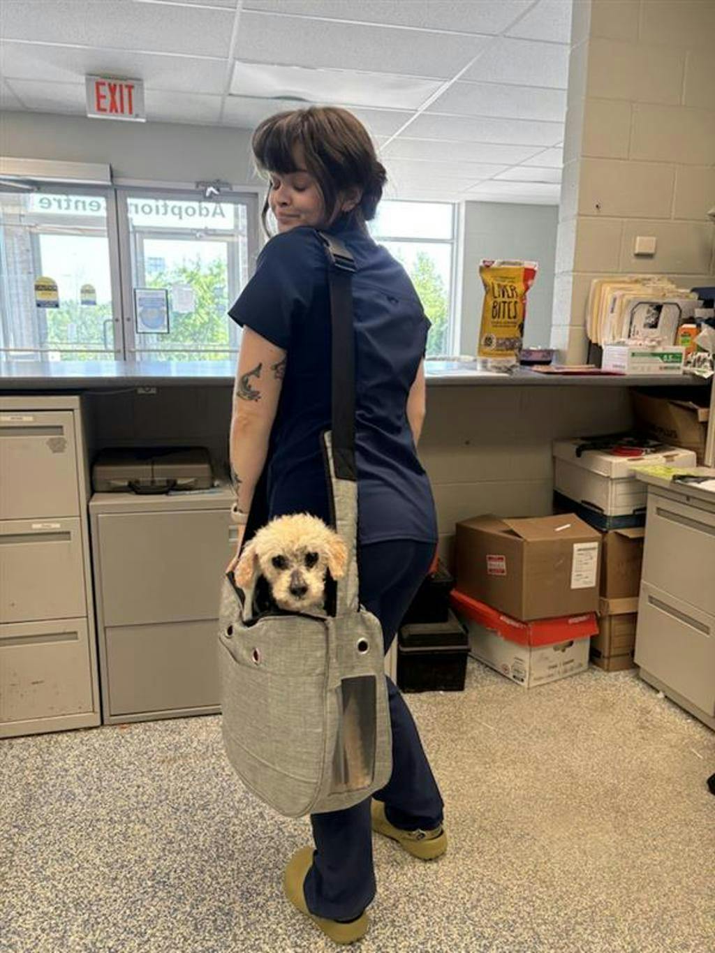 Toto Image