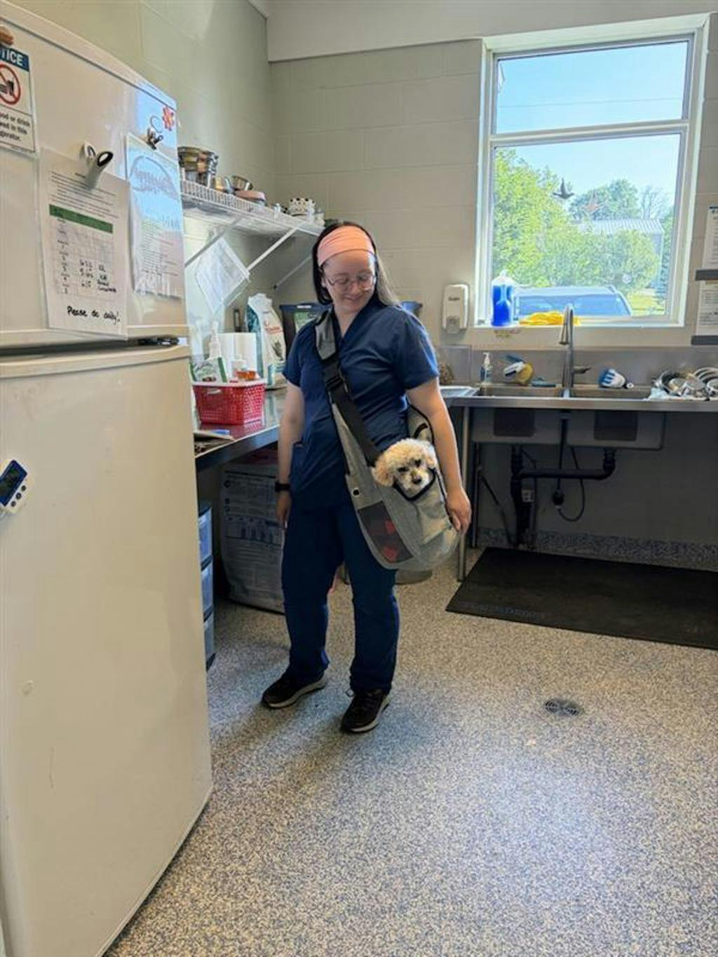 Toto Image