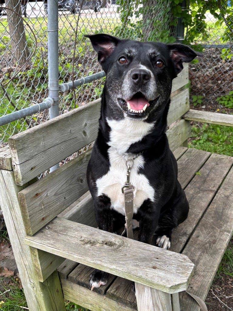Darla