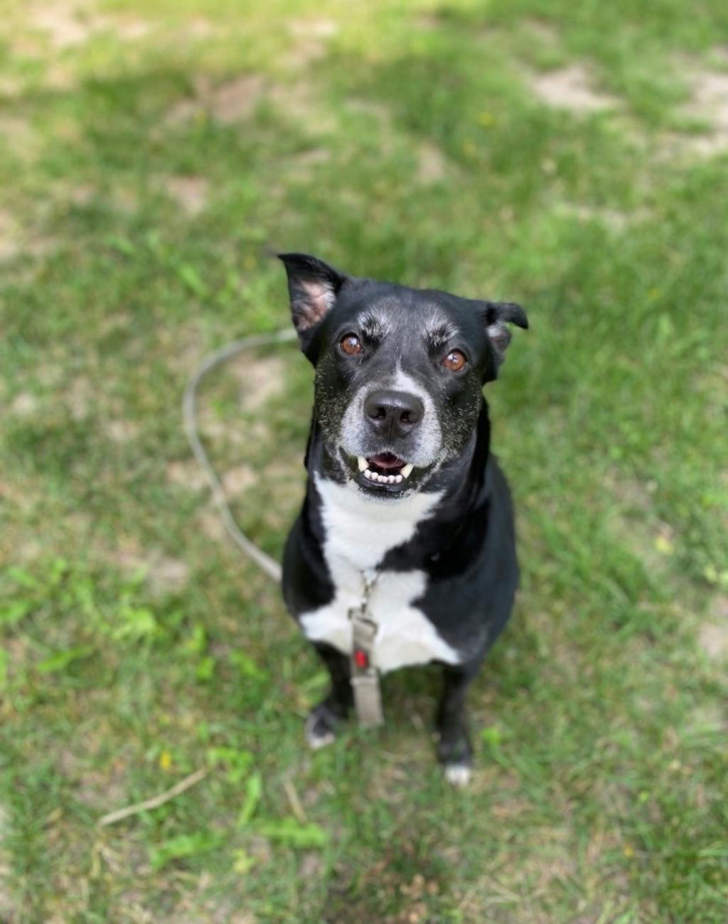 Darla