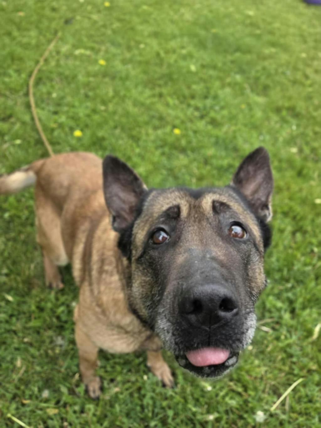 Bella Image