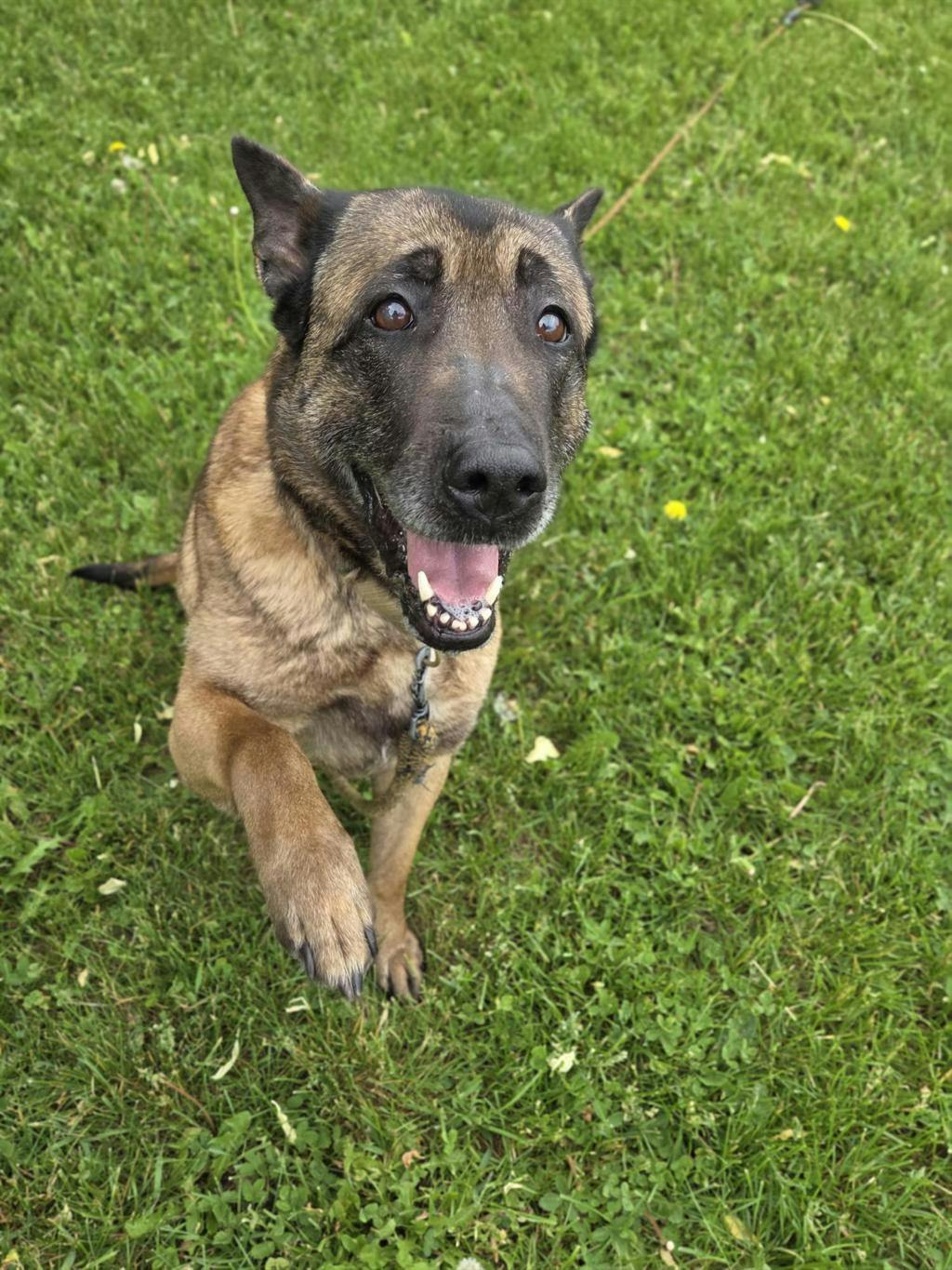 Bella Image