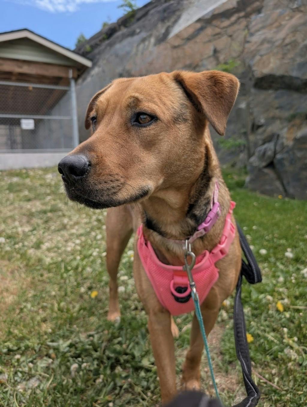 Mollie