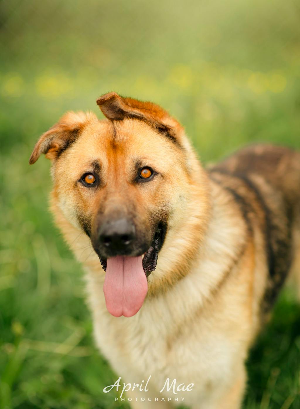 Zeus