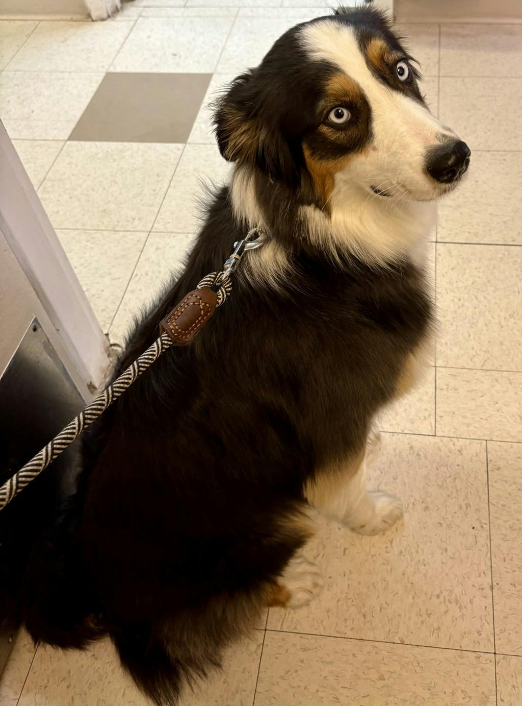 Maggie Image