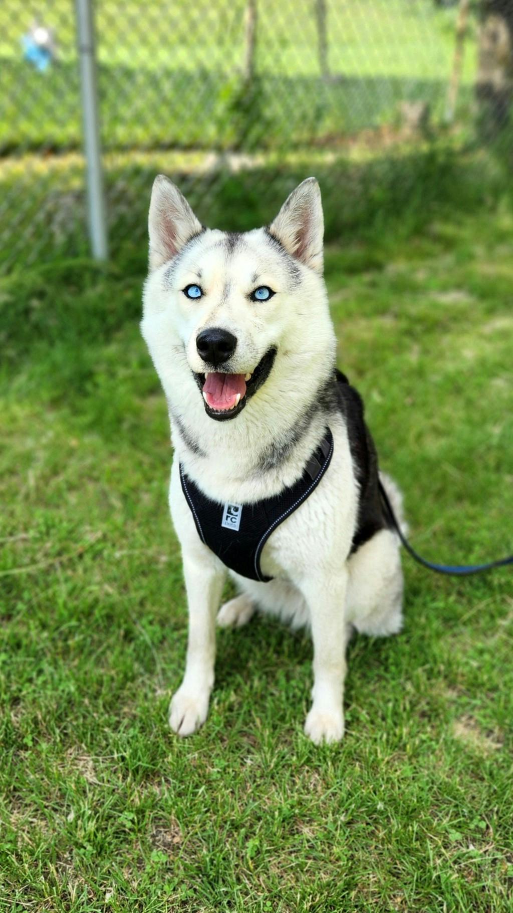 Kaiya