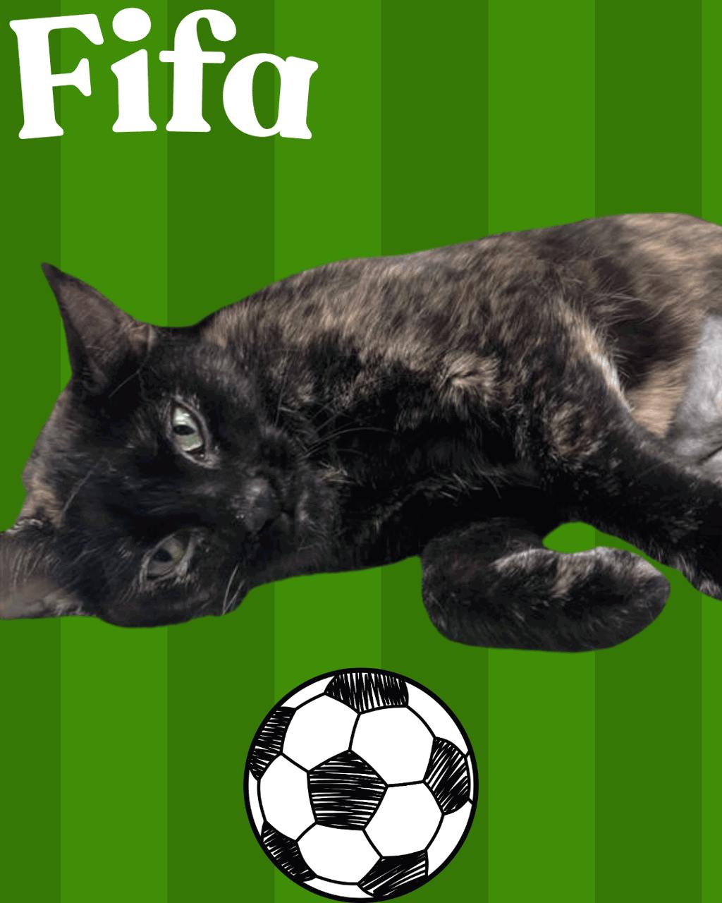Fifa Image