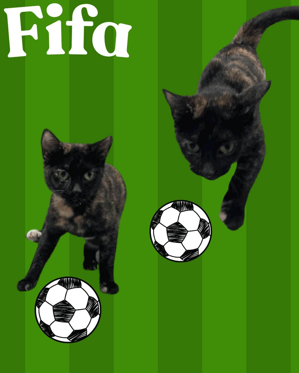 Fifa Image