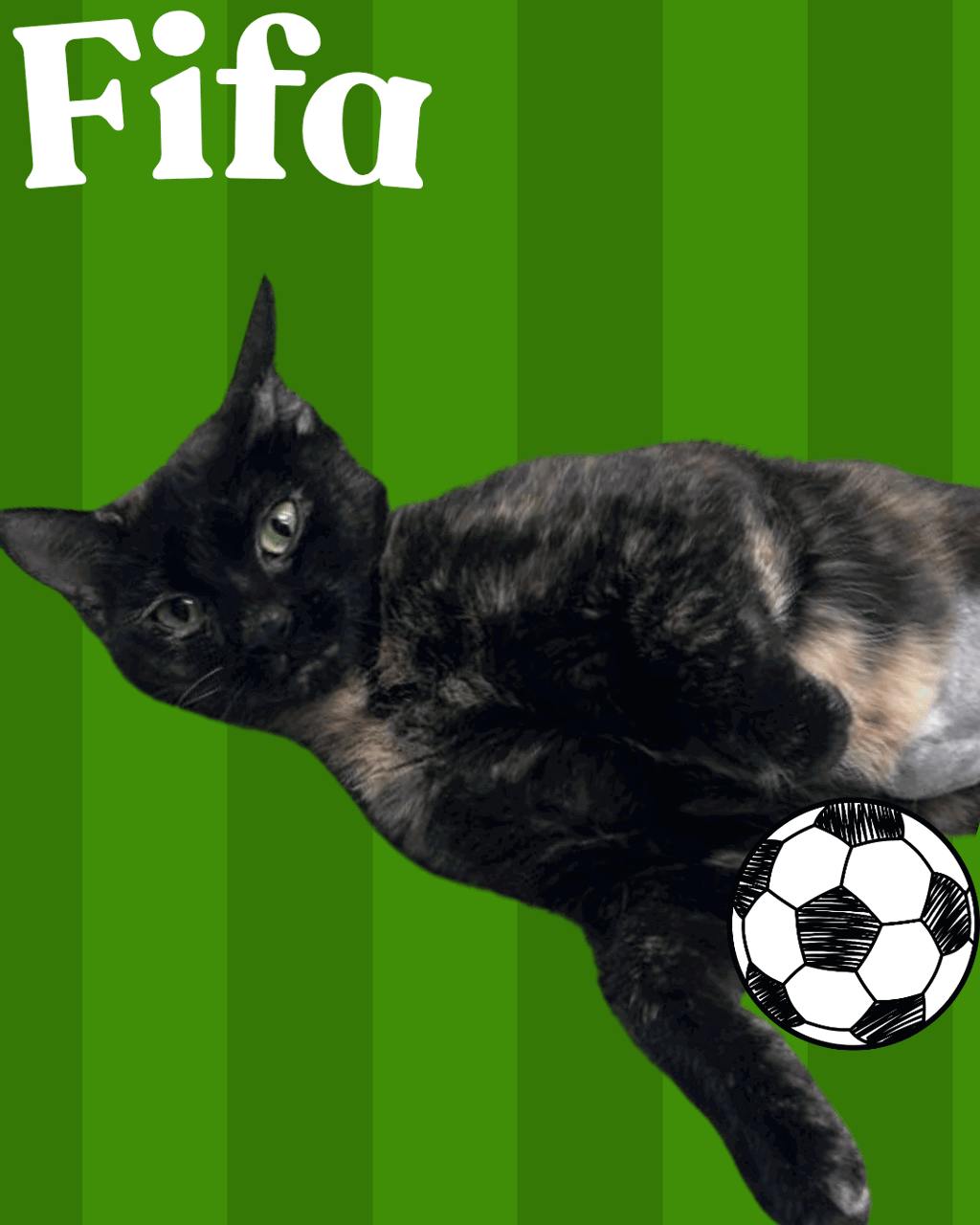 Fifa Image
