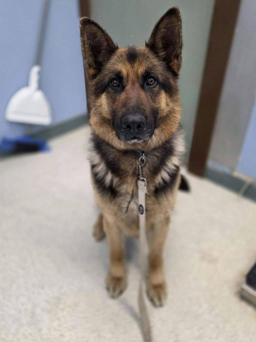 Tucker