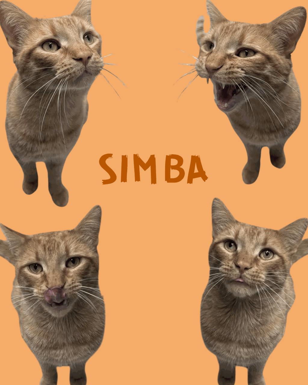 Simba Image