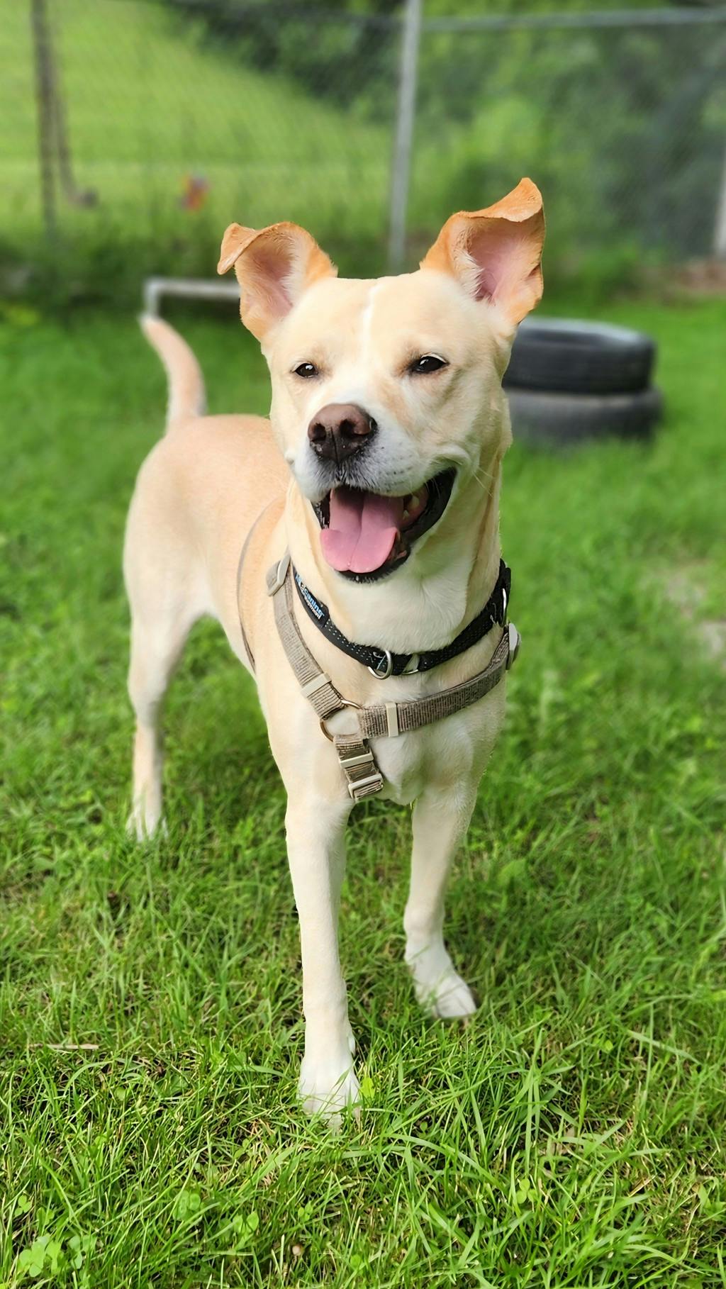 Max