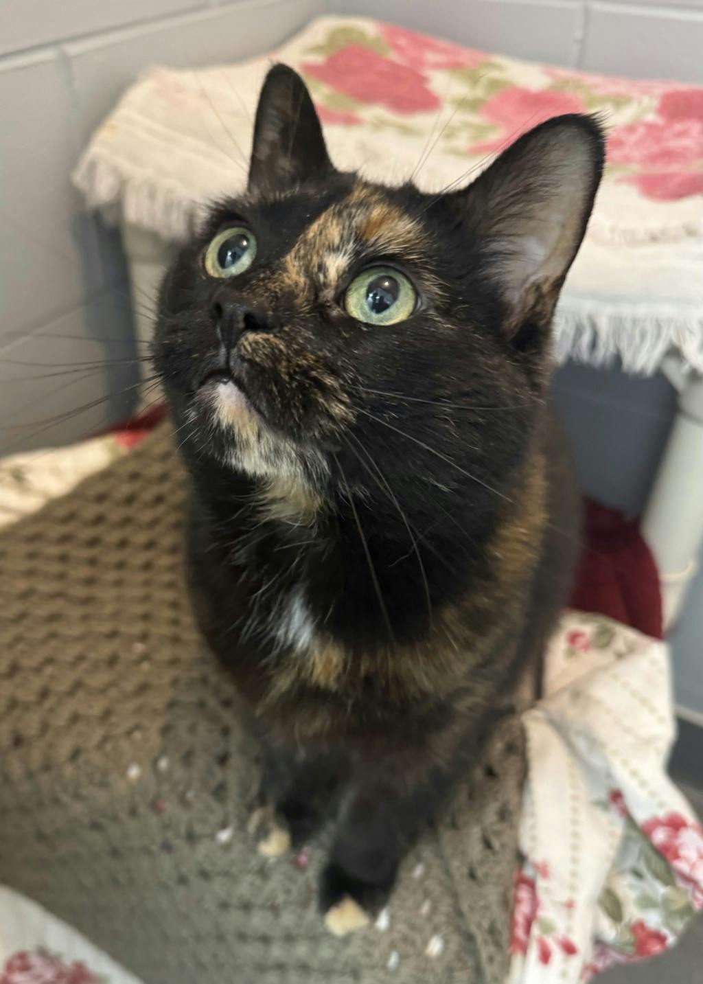 Elinor Image