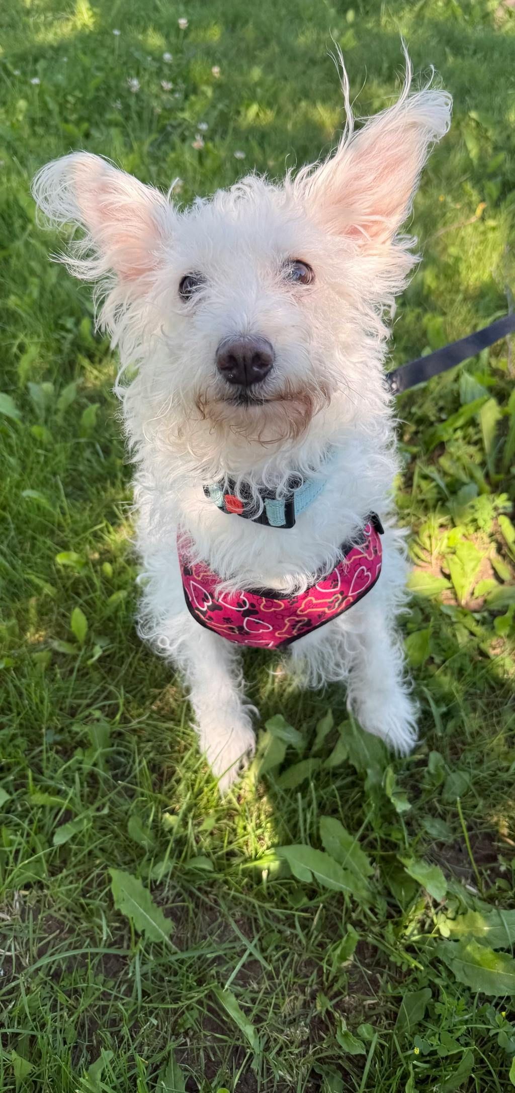 Zoe