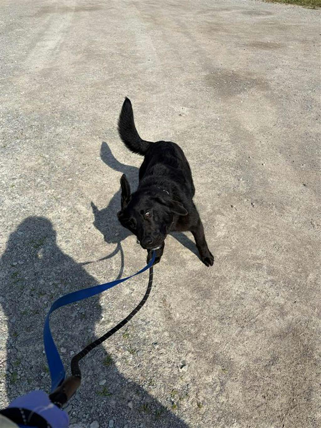 Shadow Image