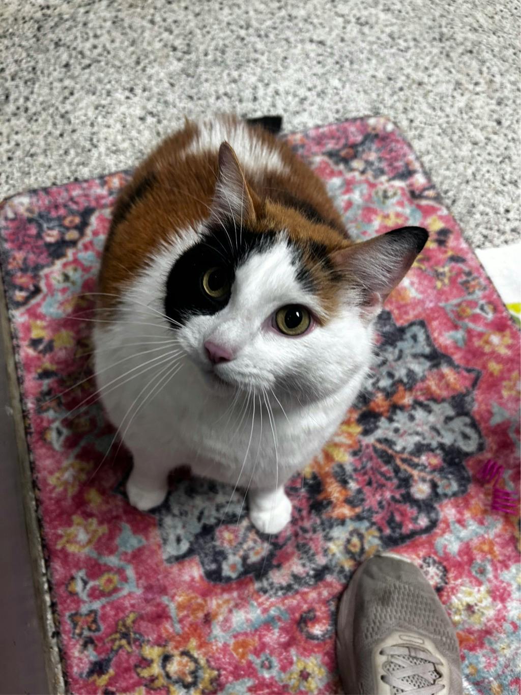 Zoe Image