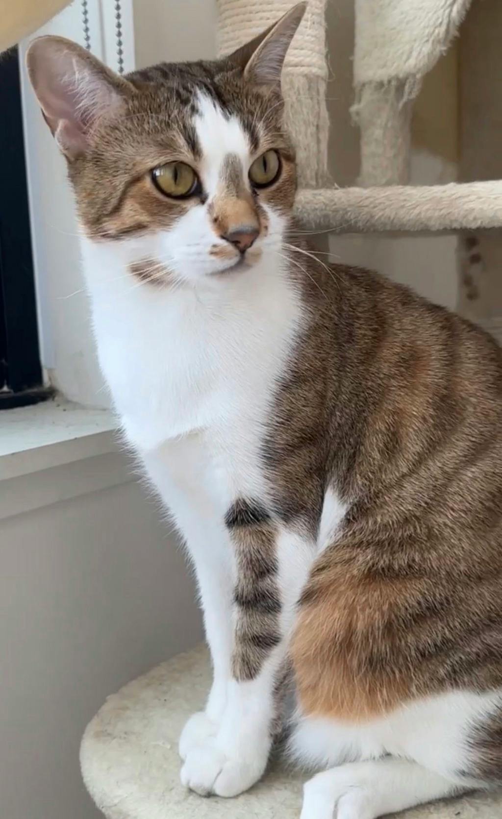 Mia Image