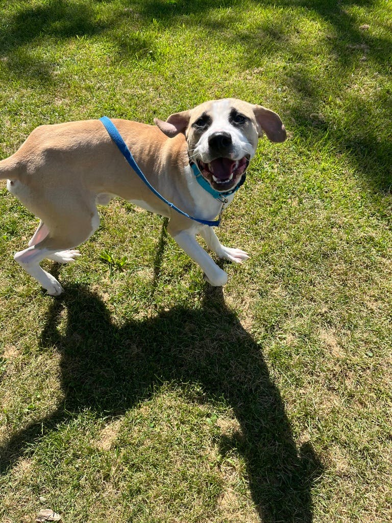 Winston