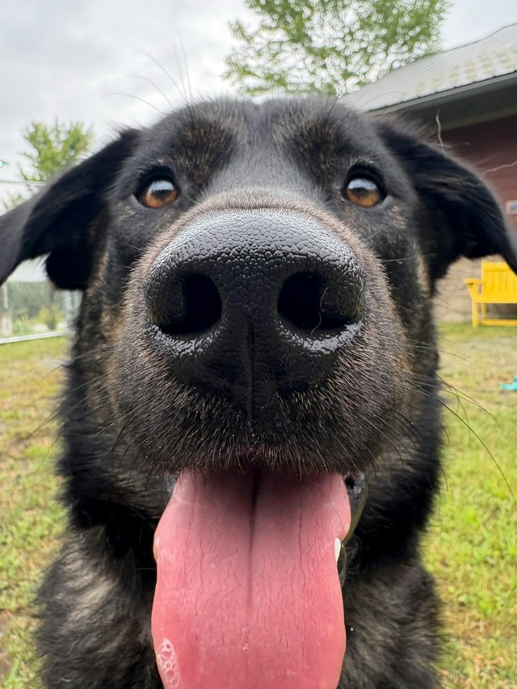 Vader