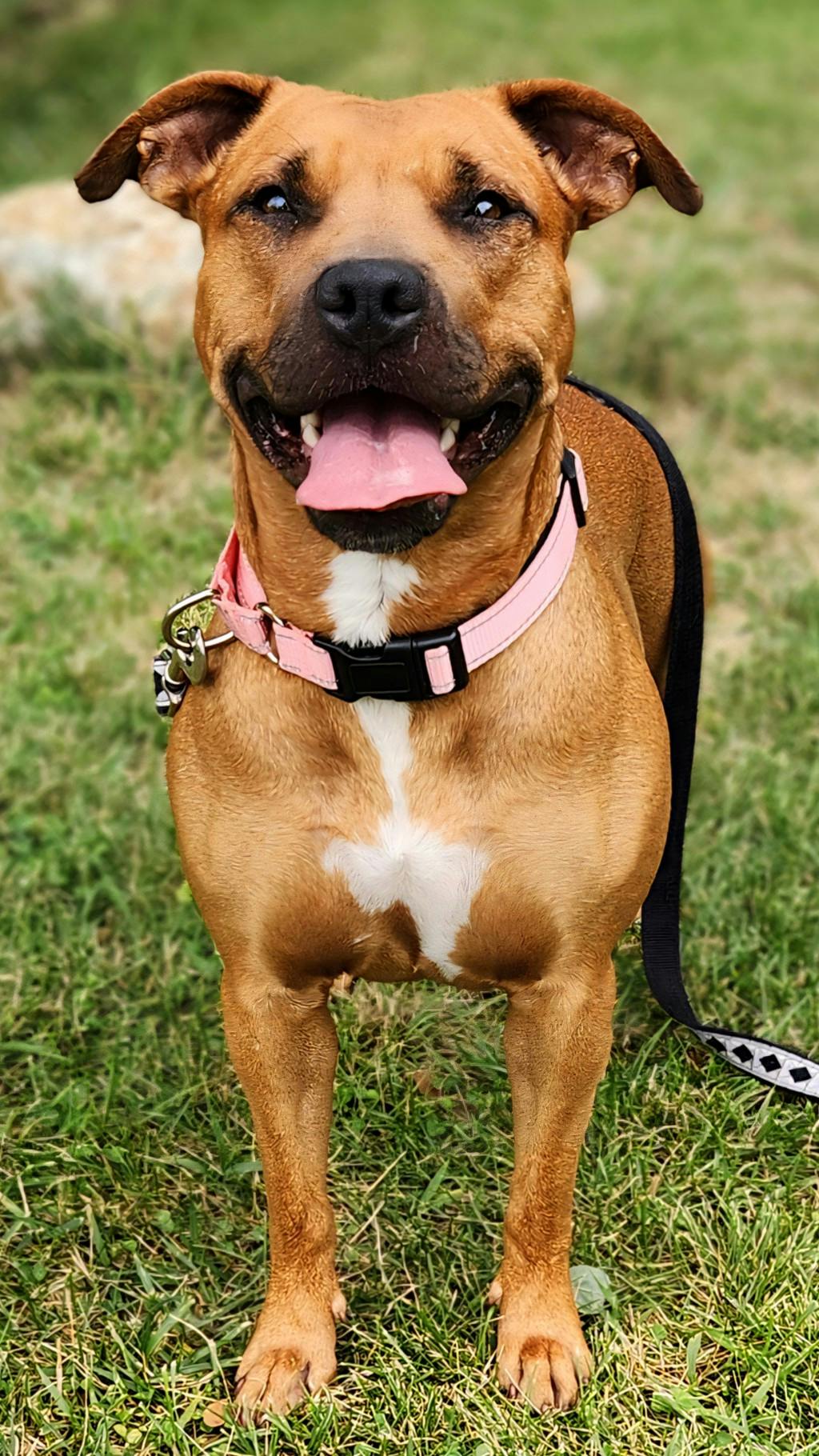 Shiloh