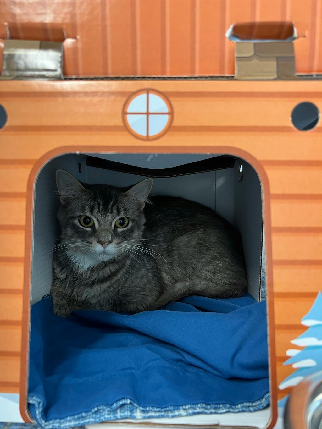 Maggie Image