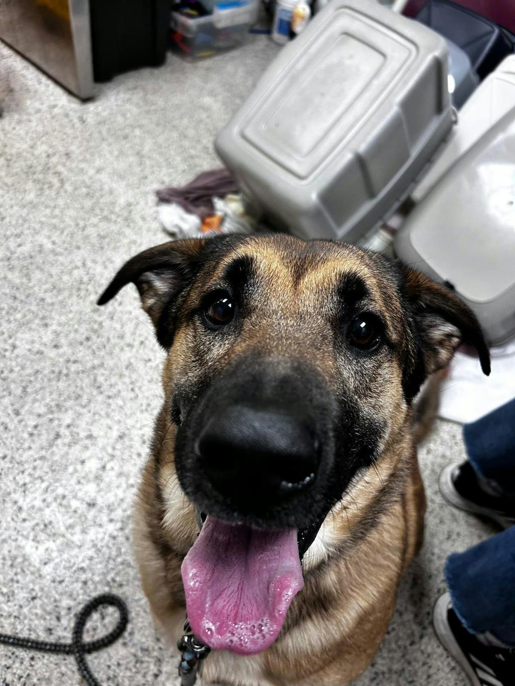 Odin